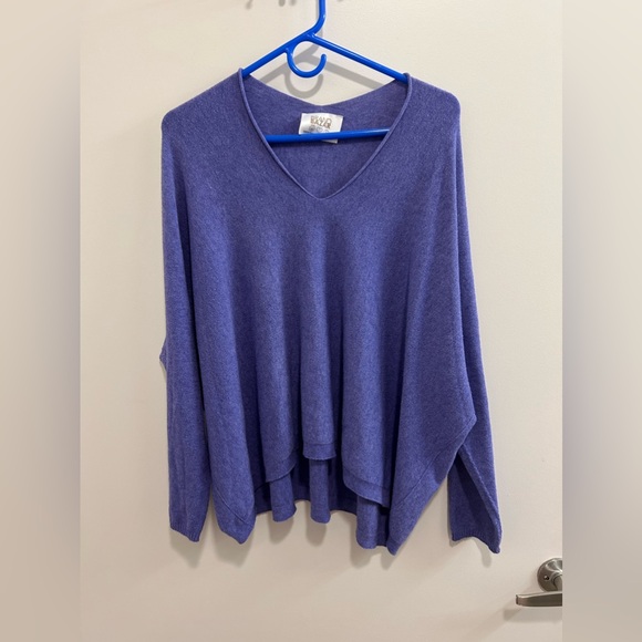 Sweaters - 🍁Brand Bazar Purple V Neck Sweater